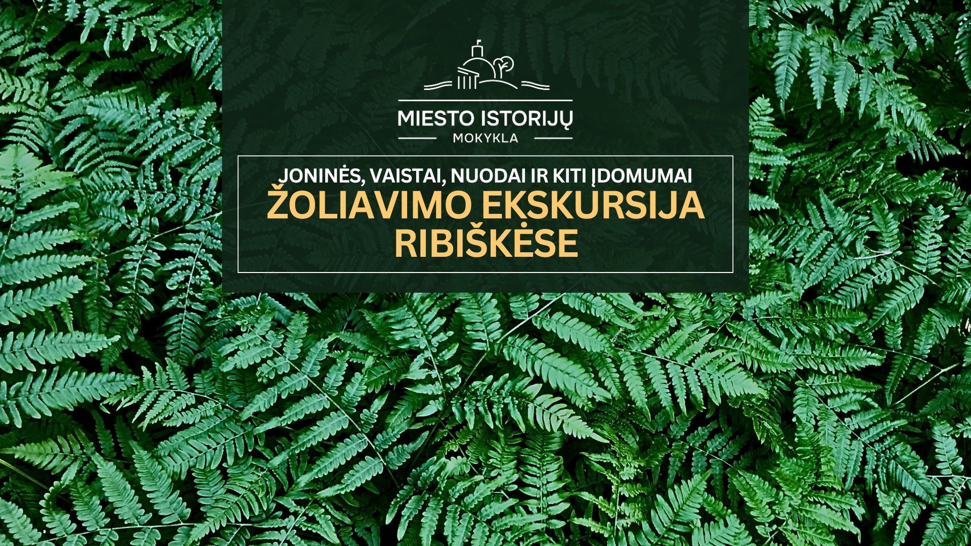 Žolynų ekskursija Ribiškėse: Joninės, vaistai, nuodai ir kiti įdomumai
