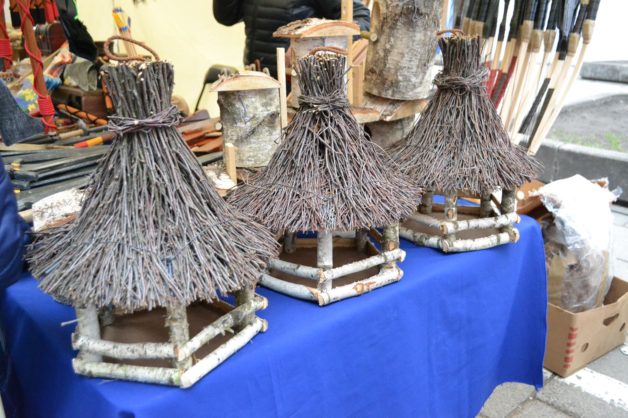 LESYKLOS IR INKILAI ŽIEMĄ