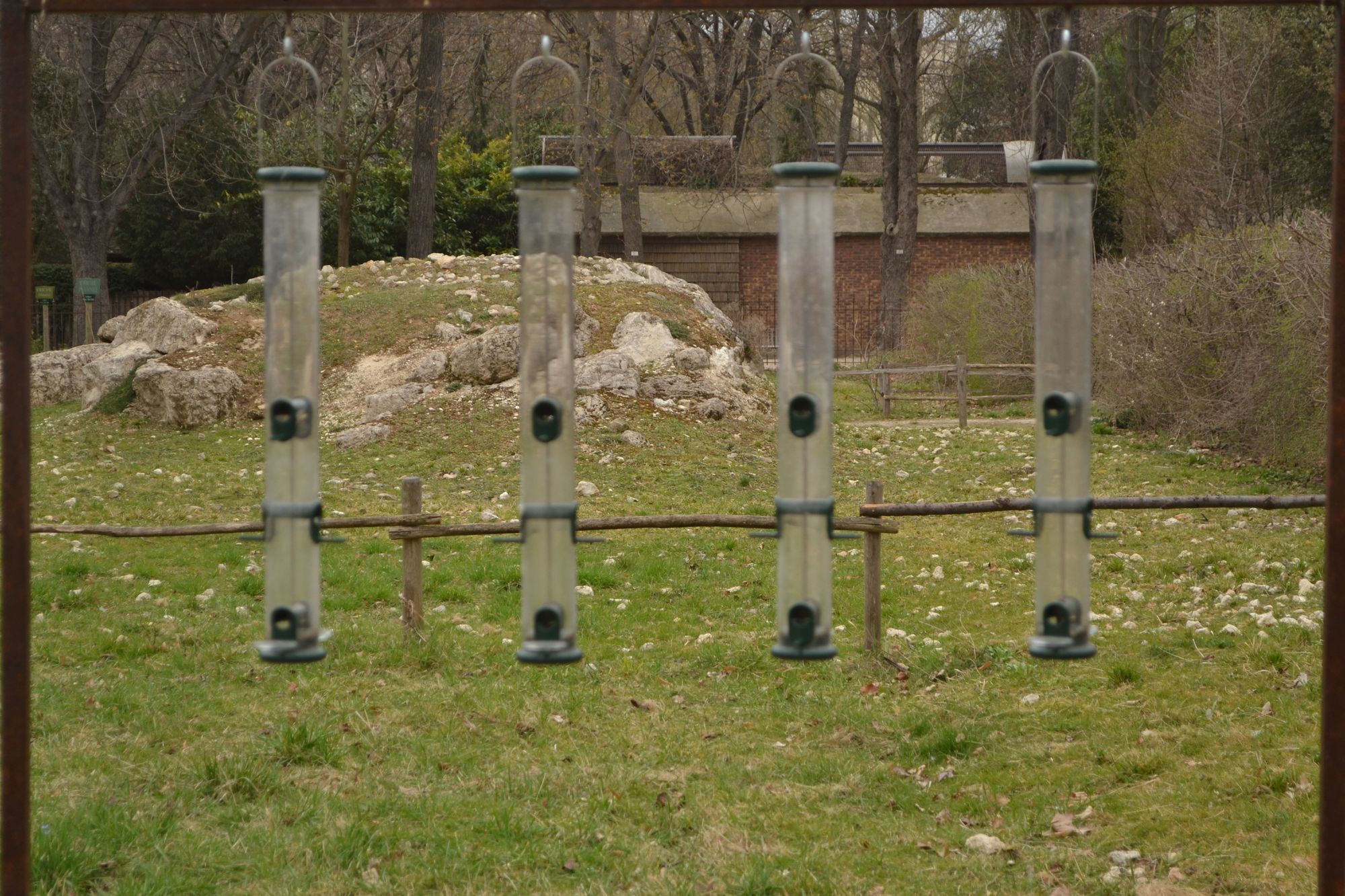 LESYKLOS IR INKILAI ŽIEMĄ