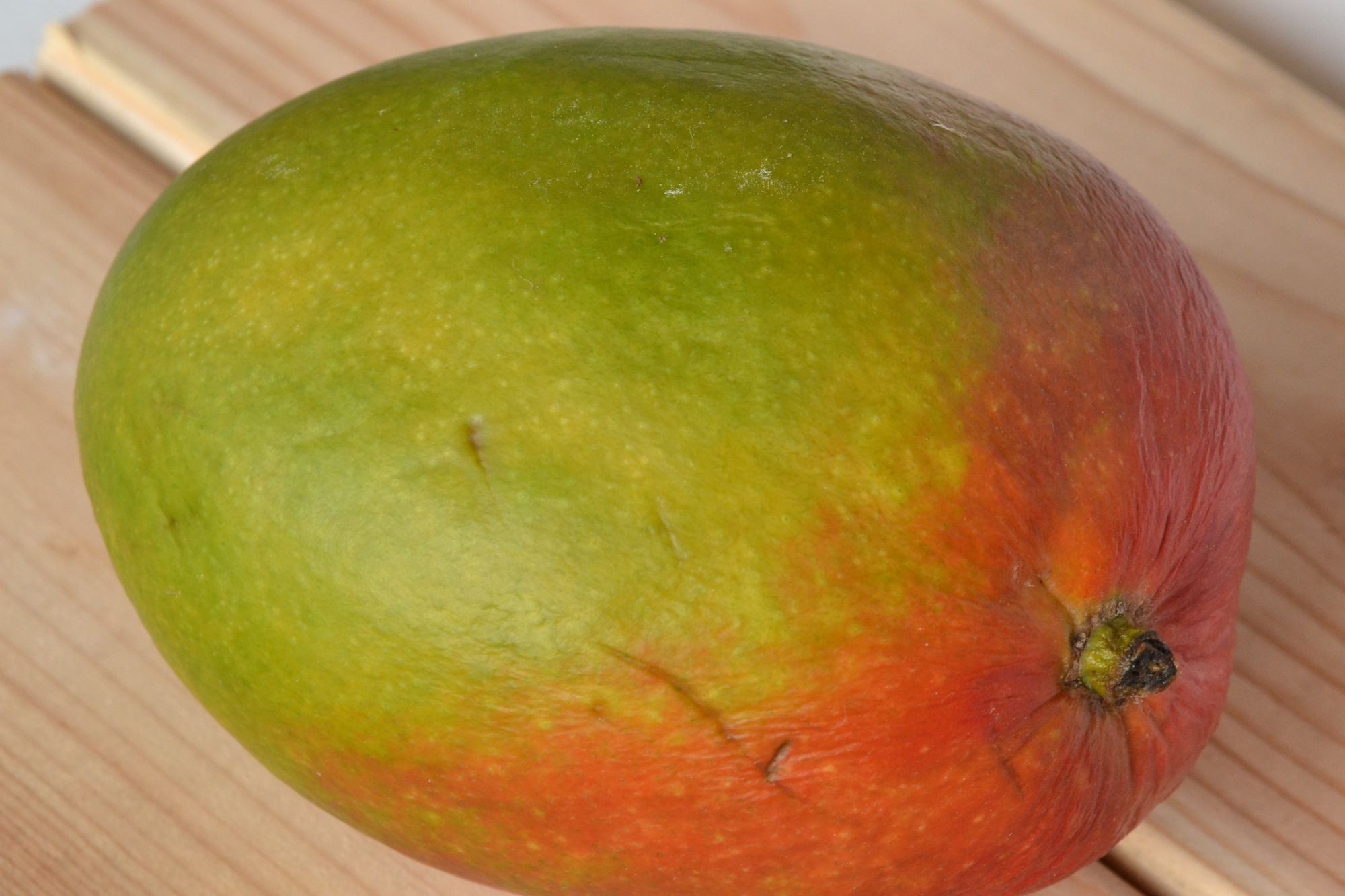 Indinis mangas (Mangifera indica)