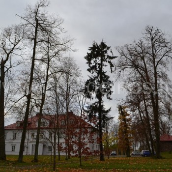 APSILANKYKITE BISTRAMPOLIO DVARE PANEVĖŽIO RAJONE