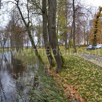 APSILANKYKITE BISTRAMPOLIO DVARE PANEVĖŽIO RAJONE