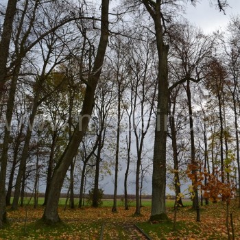 APSILANKYKITE BISTRAMPOLIO DVARE PANEVĖŽIO RAJONE