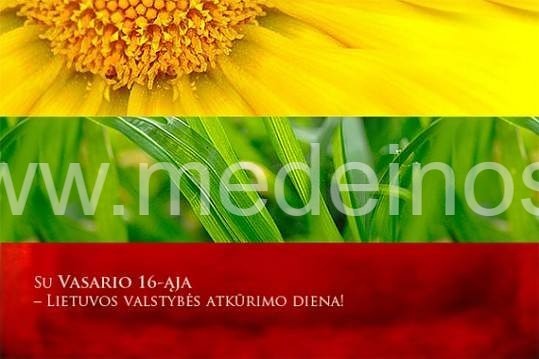 SU VASARIO 16-ąja, Lietuva