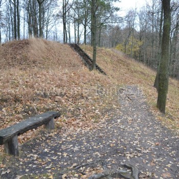 Vieškūnų piliakalnis