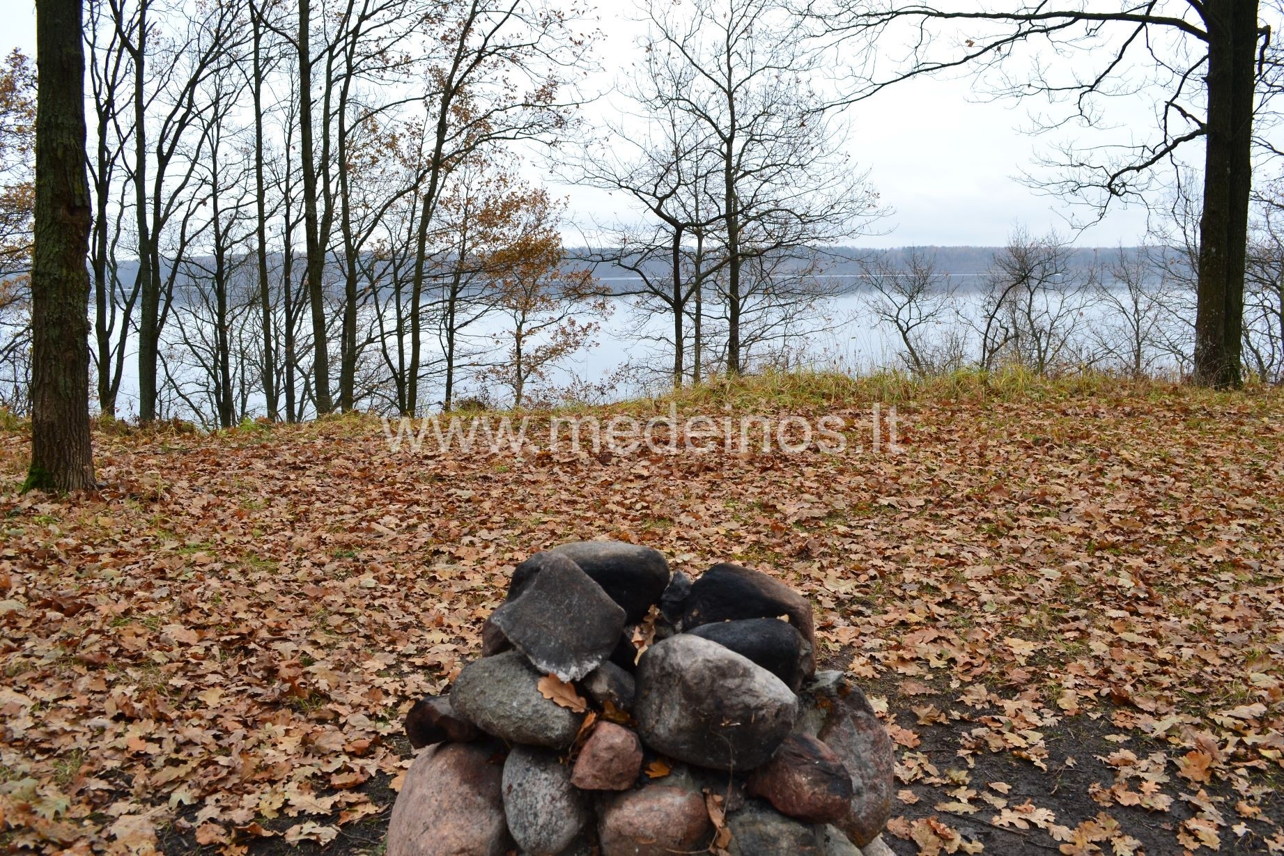 Vieškūnų piliakalnis