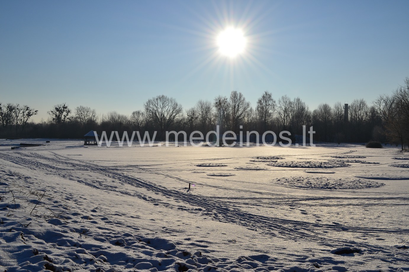 Jau dienos pradėjo ilgėti