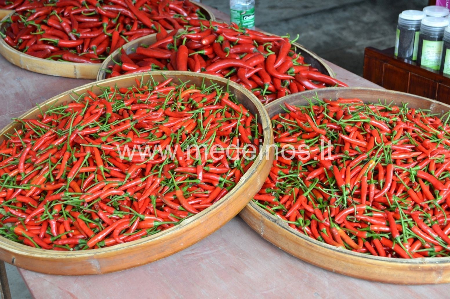 Įdomiausi faktai apie augalus