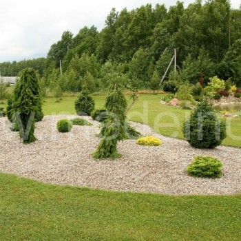 Akmenėlių mulčias