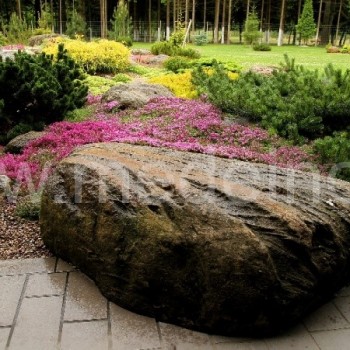 Išraiškingas akmuo sujungia trinkeles su alpinariumu