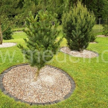 Reti ir išskirtiniai augalai įrėminti granito trinkelėmis