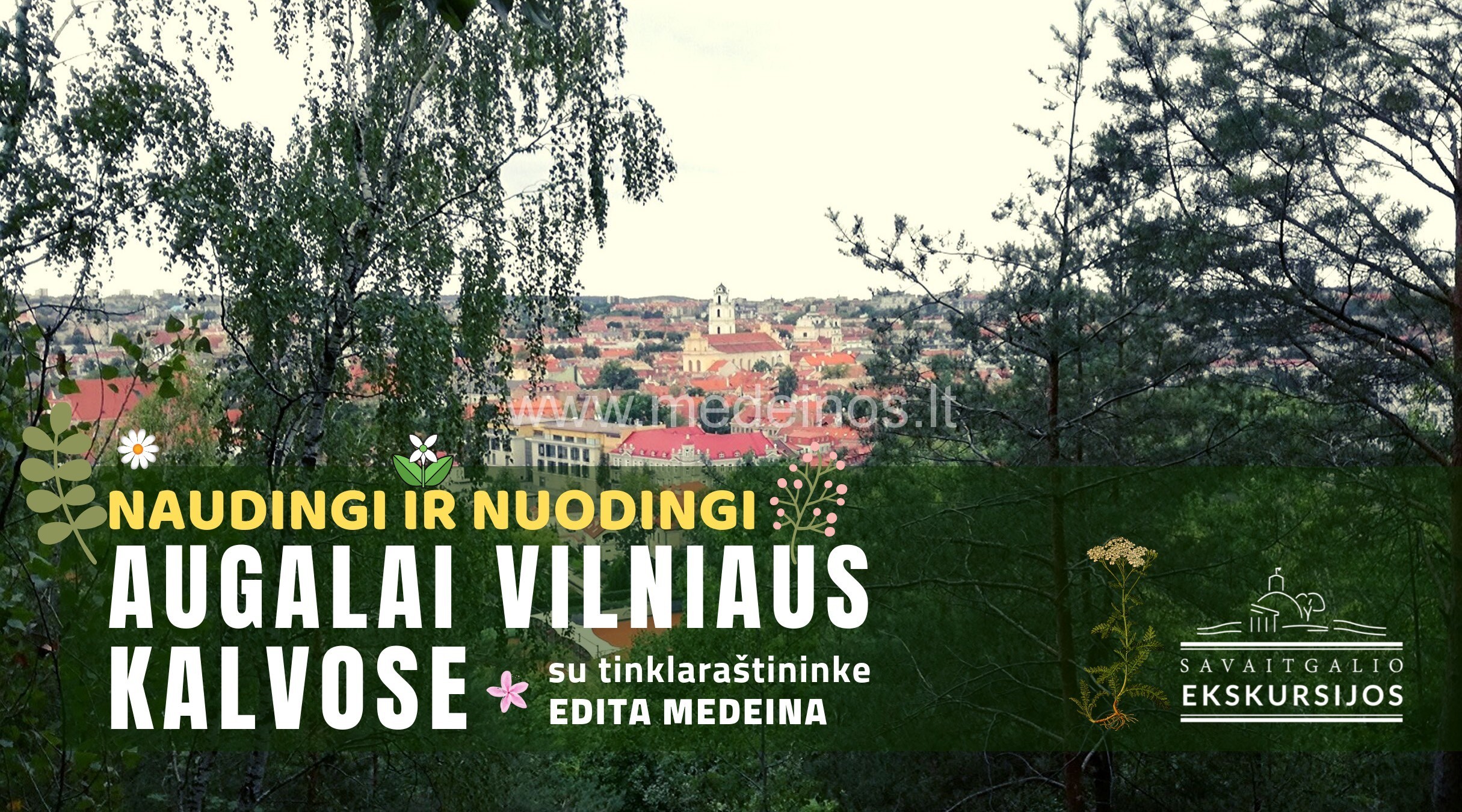 Ekskursija "Naudingi ir nuodingi augalai Vilniaus kalvose"