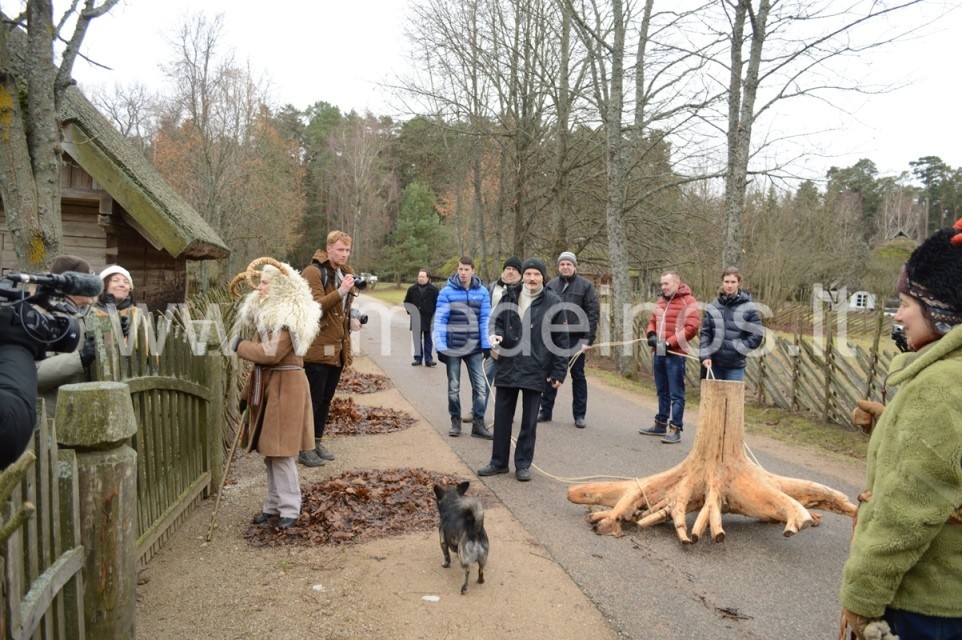 BLUKVILKIO ŠVENTĖ LIAUDIES BUITIES MUZIEJUJE RUMŠIŠKĖSE