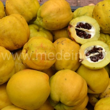 Japoninis svarainis (Chaenomeles japonica)