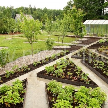 Daržas įrėmintas metaliniais borteliais