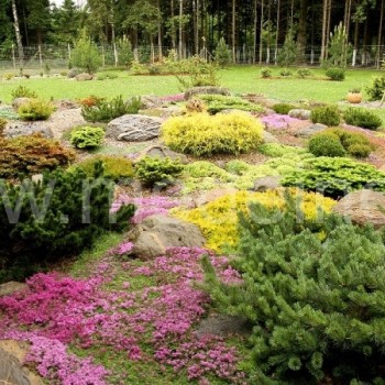 Didysis alpinariumas