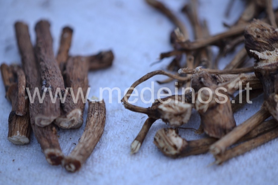 VAISTAI, KURIUOS DAR GALIME RASTI GAMTOJE ŠIUO METU