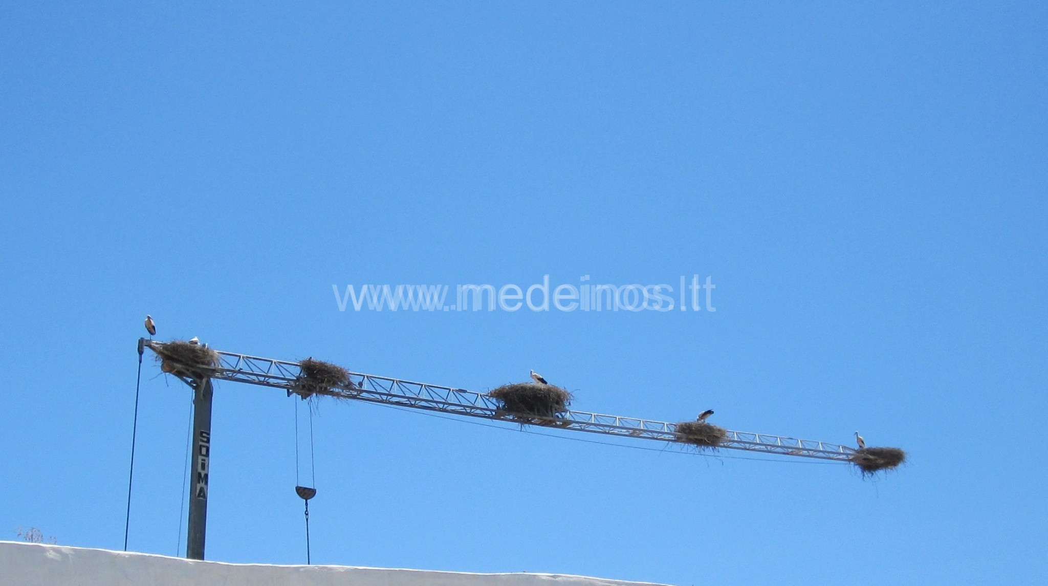 KOVO 25 DIENA - GANDRINĖS