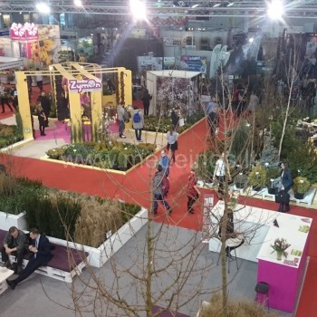 Paroda Gardenia 2017