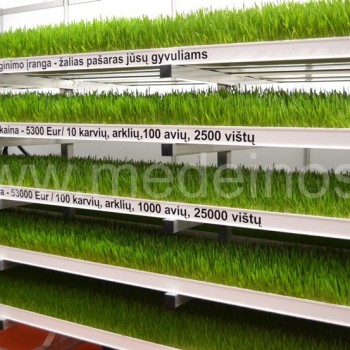 Grūdų daiginimas ir jų įranga