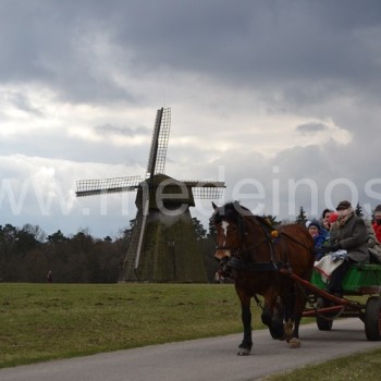 Žemaitiškas malūnas