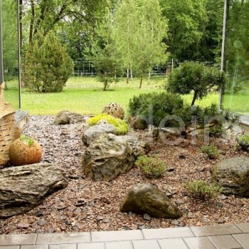 Mažasis alpinariumas - jame vyrauja akmenys