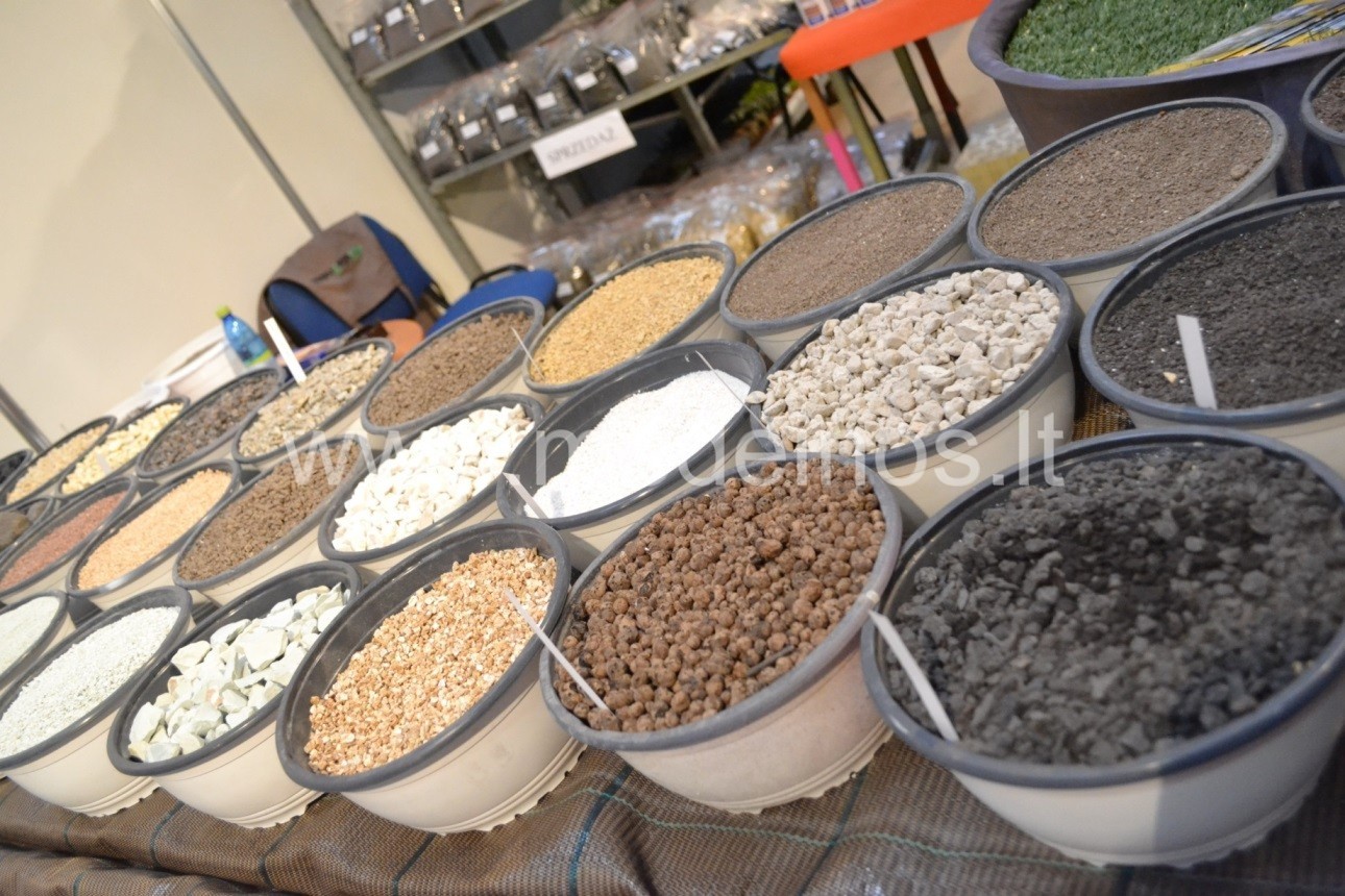 DEKORATYVINIŲ AUGALŲ MULČIAVIMAS: NAUDA IR KLAIDOS