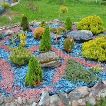 mulčiuotas gėlynas