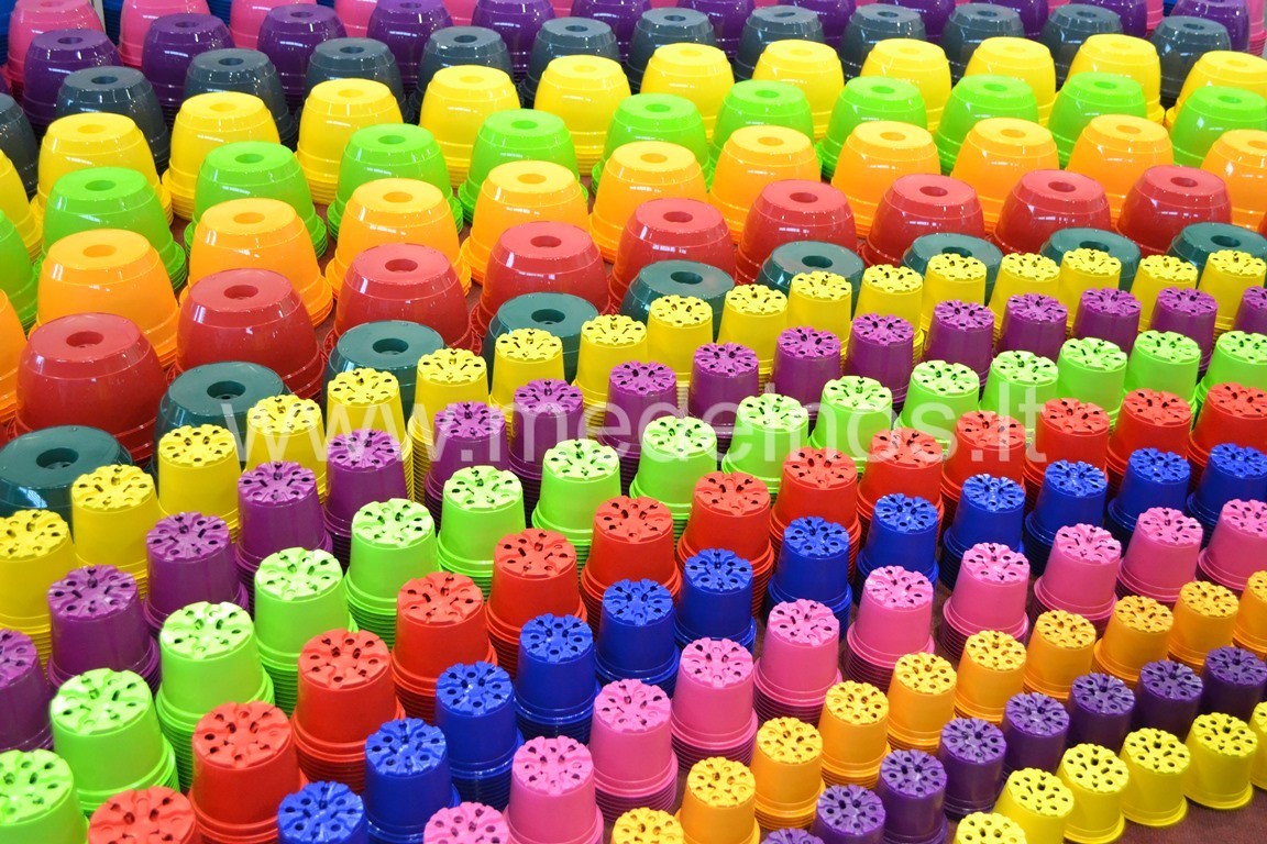 SODININKYSTĖS PARODA "GARDENIA" POZNANĖJE