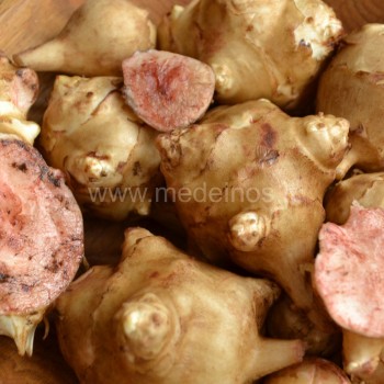 Perpjauti topinambai įgauna rausvą spalvą