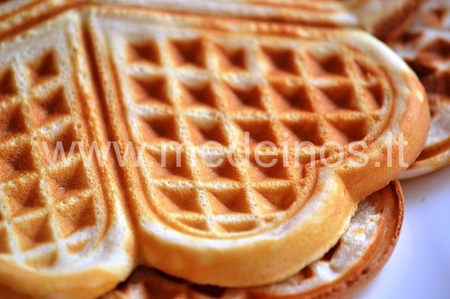 Vasario 17 dieną - UŽGAVĖNĖS !