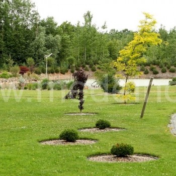 Vaizdas į tvenkinį nuo namo pusės