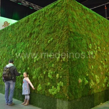 Vertikalus želdinimas