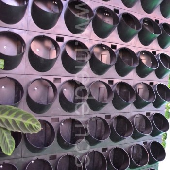 Vertikalusis apželdinimas