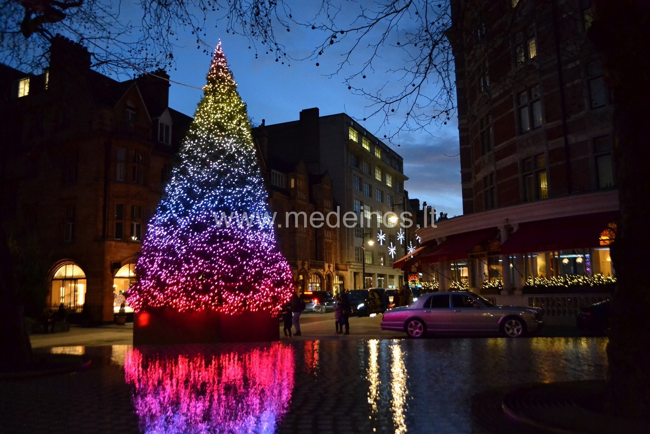 Gražiausios Londono kalėdinės eglutės
