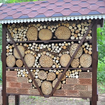 Vabzdžių viešbutį Kauno Botanikos sode įkūriau 2013 m.