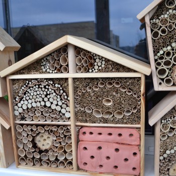 Viešbučiai vabzdžiams