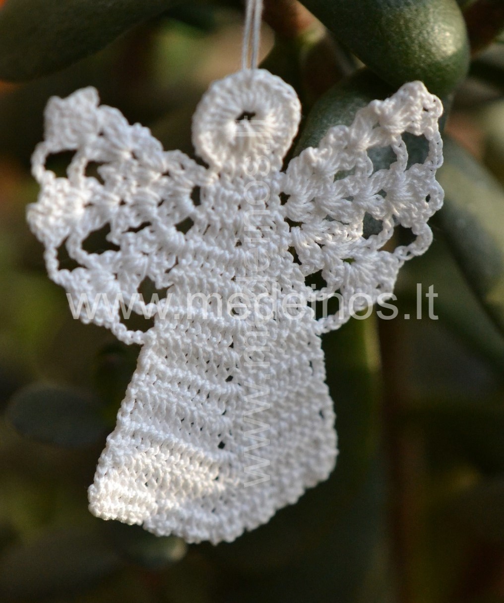 ŽIEMOS SAULĖGRĮŽA