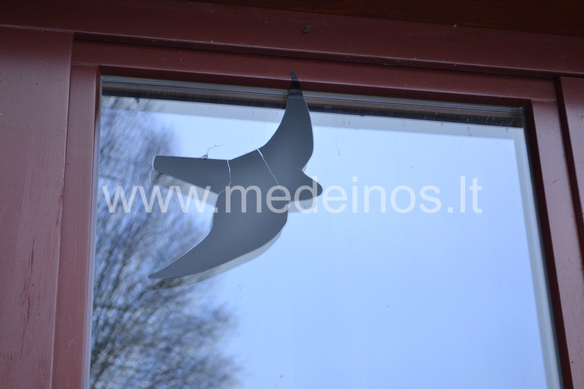 SAUGOKIME PAUKŠČIUS