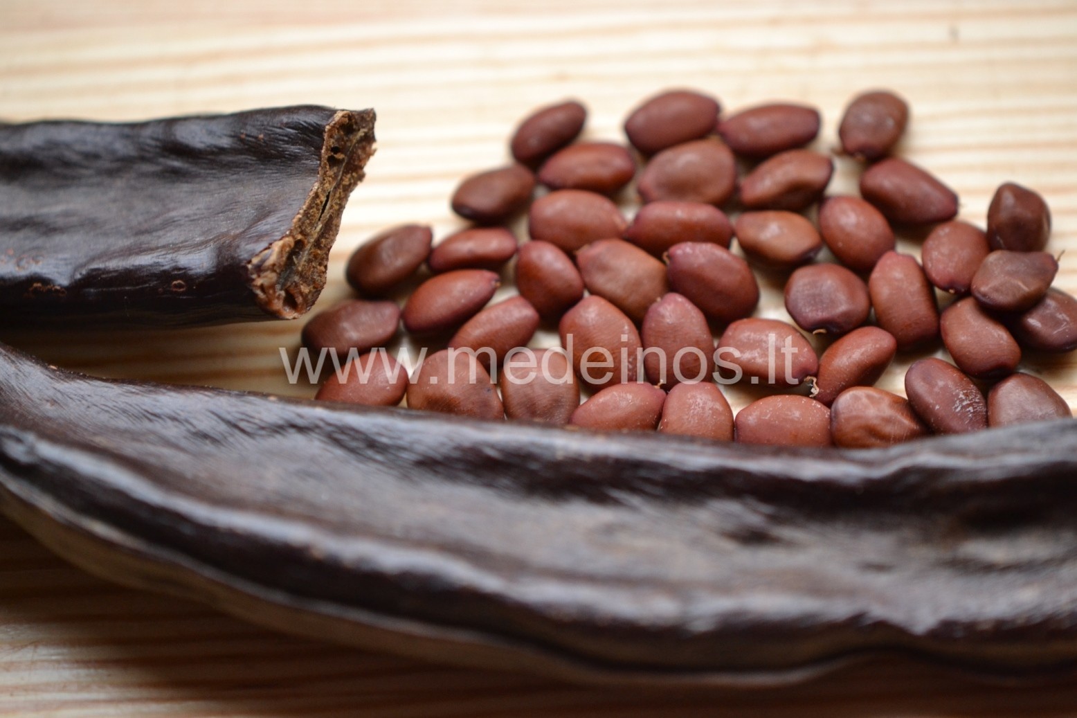 AUGALAI, KURIE PASALDINS GYVENIMĄ (III dalis)