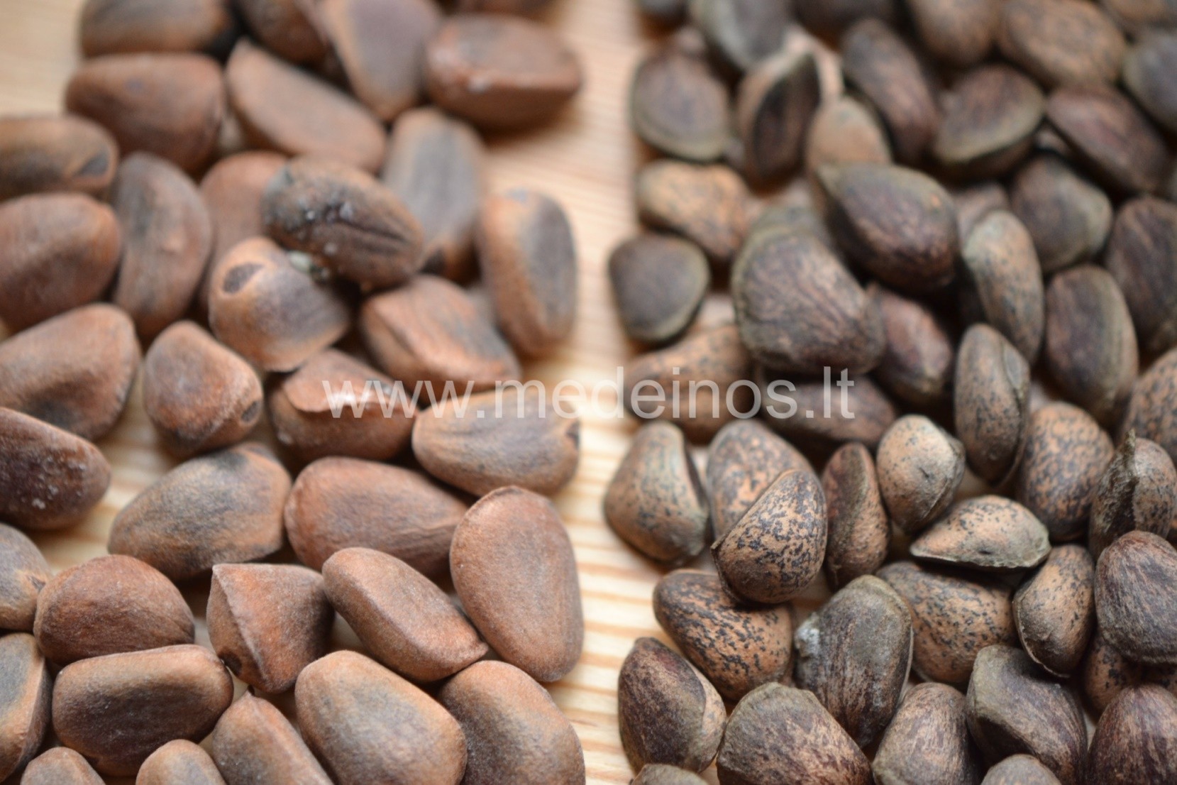 KEDRAI IR KEDRO RIEŠUTAI