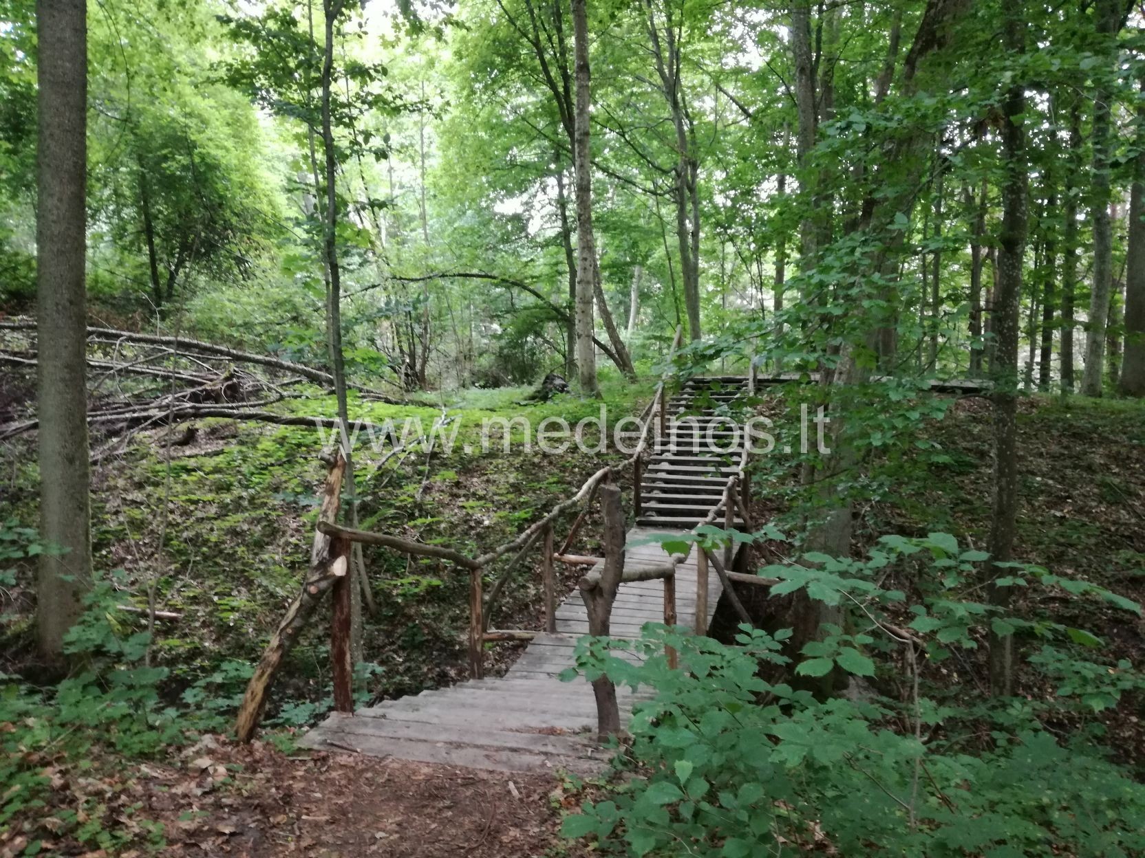 Kukuliškių piliakalnis pajūryje