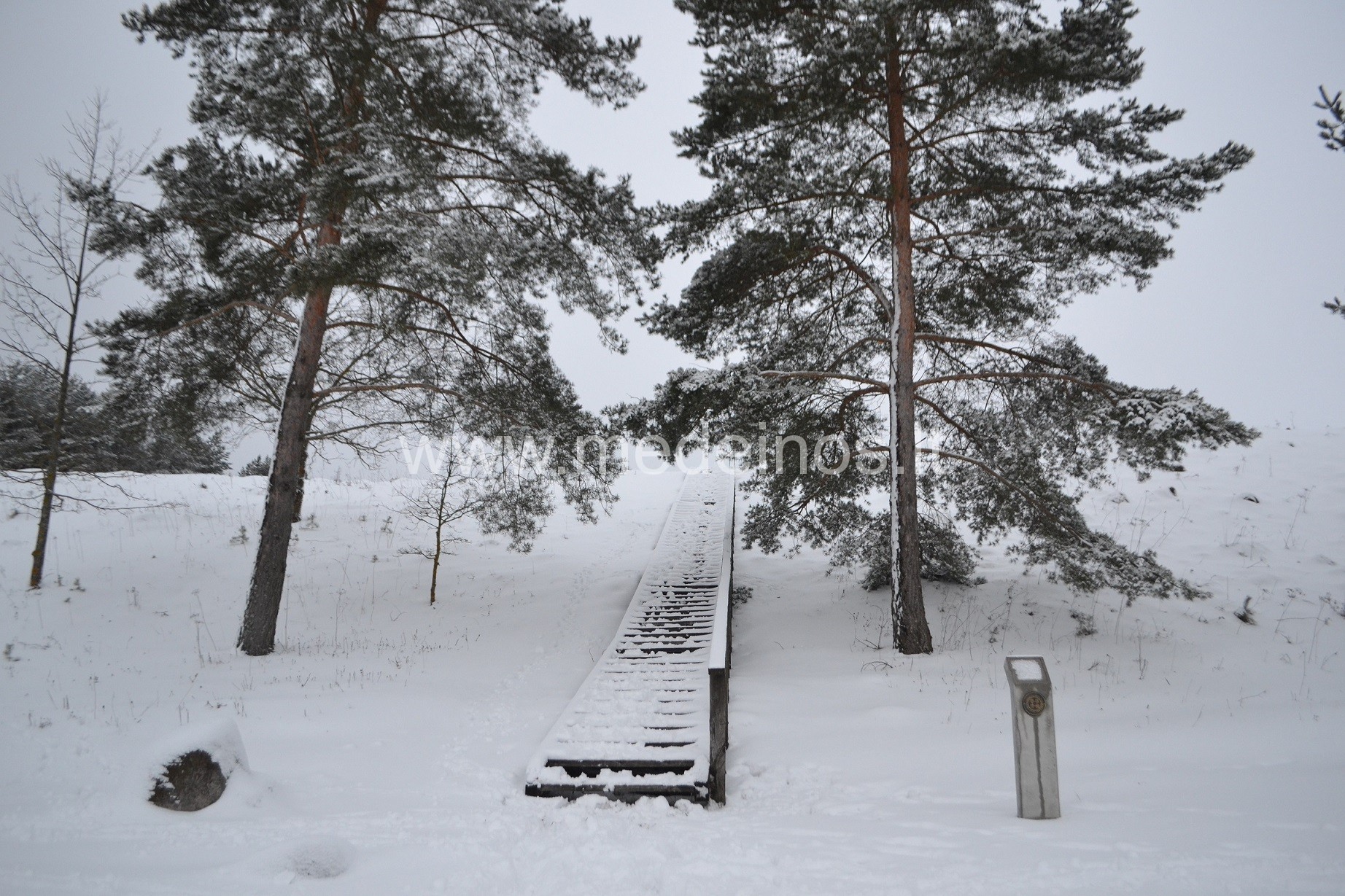 Lygamiškio piliakalnis Utenos rajone