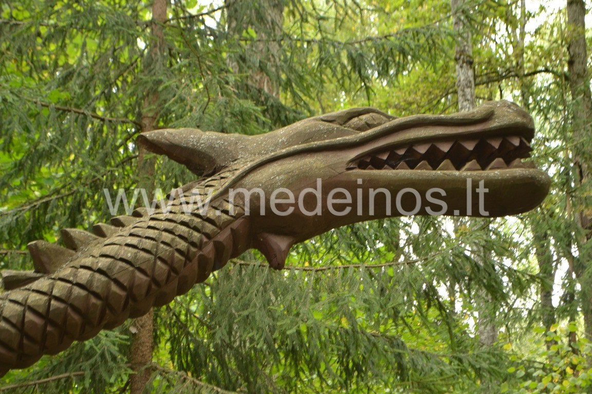 ĄŽUOLŲ GIRIA DŪKŠTE