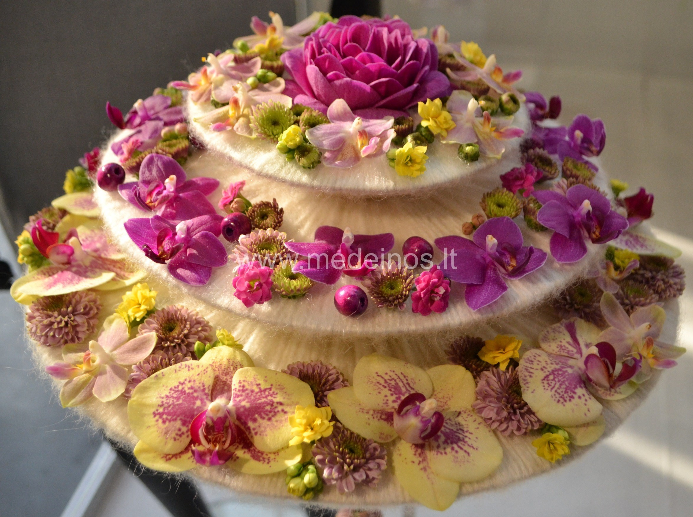 Apie meilę tarp augalų