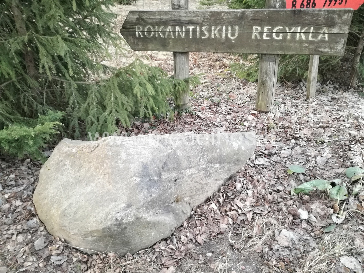 Rokantiškių regykla Vilniuje