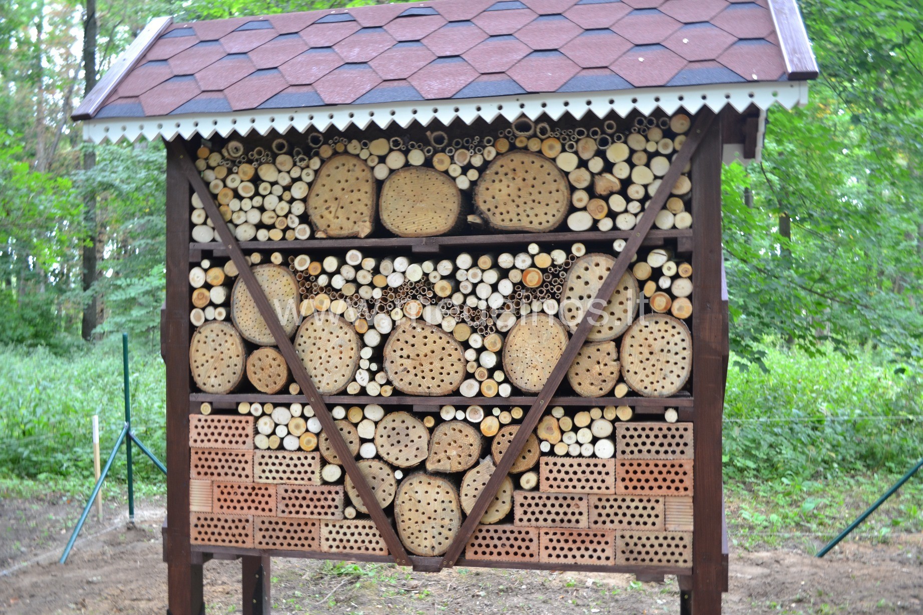 VIEŠBUČIAI VABZDŽIAMS - KAS TAI ?