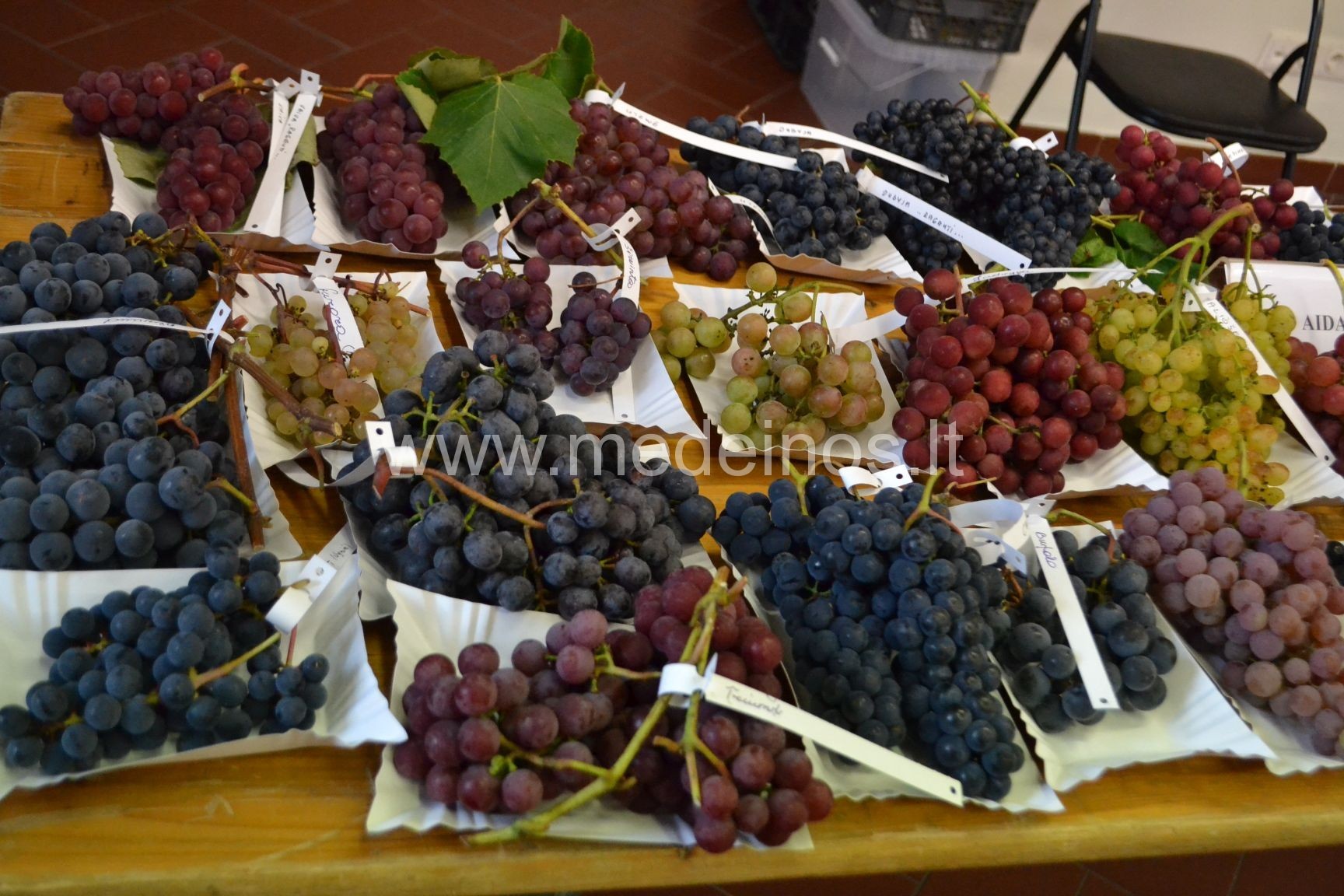 Kurių vaisių sėklas patartina valgyti, o kurias geriau išspjauti?